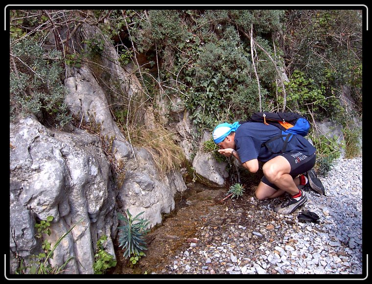 Diapositiva siguiente